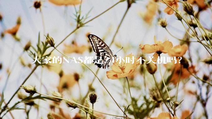 大家的NAS都是24小时不关机吗？
